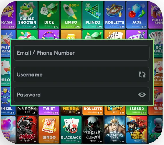 Entering user personal data